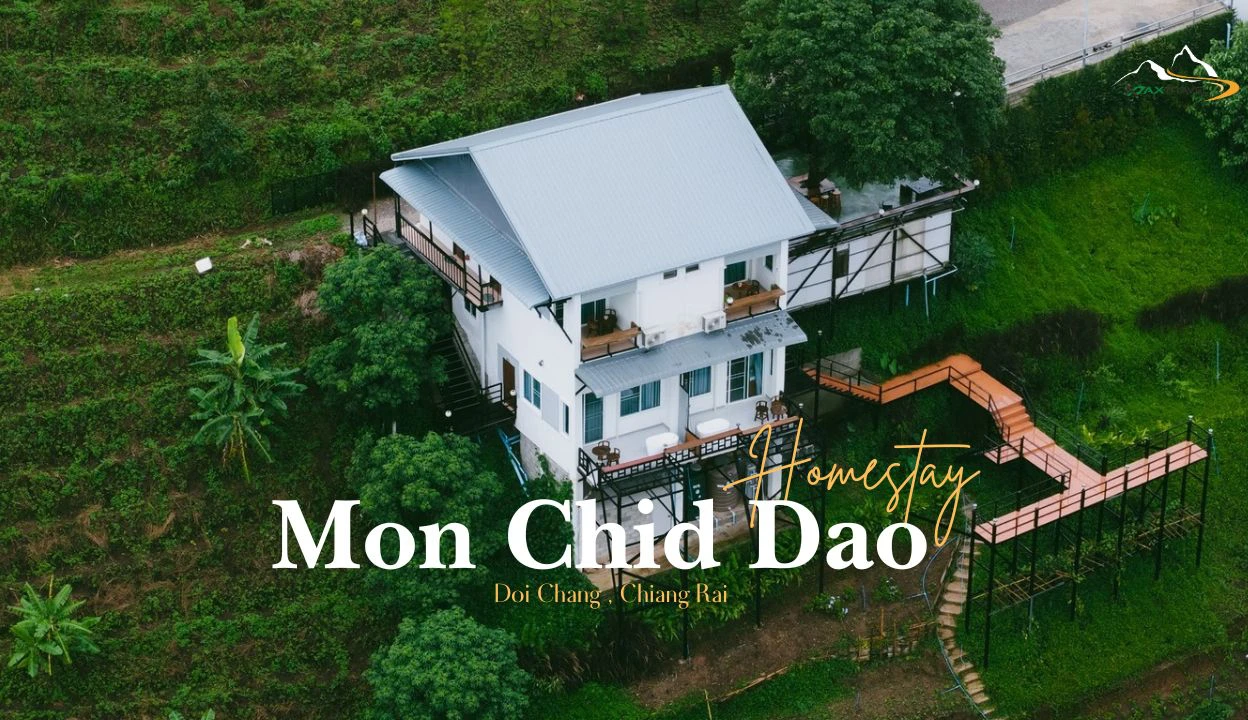 ⛰️ม่อนชิดดาว ดอยช้าง เชียงราย ที่พักบนดอยสูง บรรยากาศแสนอบอุ่น