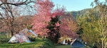 undefined-thumbnail